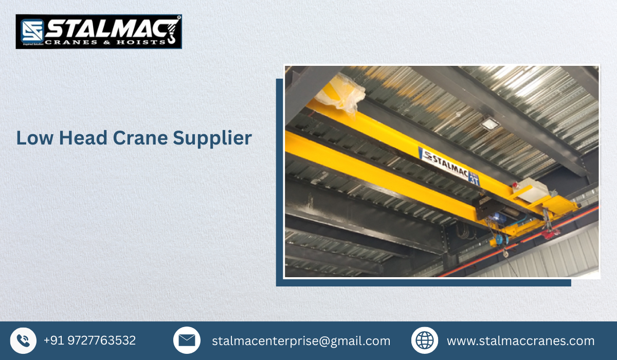 Low Head Crane Supplier