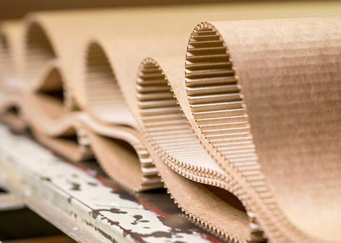 Paper & Packing Industries