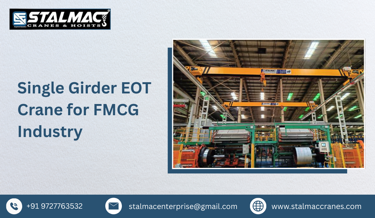 Single Girder EOT Crane for FMCG Industry